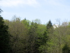 IMG 4601